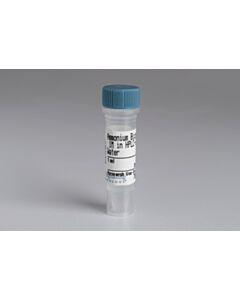 Cell Signaling Ammonium Bicarbonate, 1m In HPLC-Grade Water