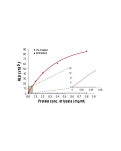 Cell Signaling Pathscan Phospho-Sapk/Jnk (Thr183/Tyr185) Chemiluminescent Sandwich ELISA Kit