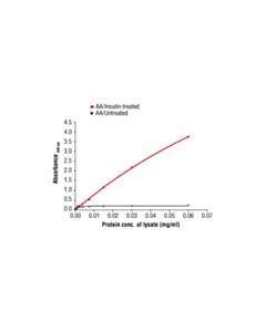Cell Signaling Pathscan Phospho-4e-Bp1 (Thr37/Thr46) Sandwich ELISA Antibody Pair