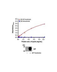 Cell Signaling Pathscan Total Gfp Sandwich ELISA Kit