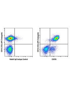 Cell Signaling Cxcr5 (E3g3a) Rabbit mAb