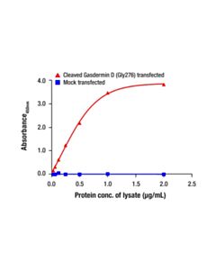 Cell Signaling Cleaved Gasdermin D (Gly276) Matched Antibody Pair