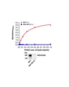 Cell Signaling Pathscan Total Her3/Erbb3 Sandwich ELISA Kit