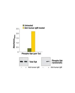Cell Signaling Pathscan Phospho-Syk (Pantyr) Sandwich ELISA Kit