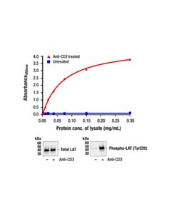 Cell Signaling PathScan ® RP Phospho-LAT (Tyr220) Sandwich ELISA Kit
