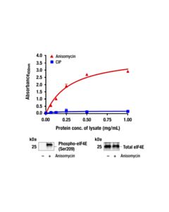 Cell Signaling PathScan ® RP Phospho-eIF4E (Ser209) Sandwich ELISA Kit