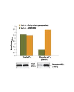 Cell Signaling Pathscan Total Eif2alpha Sandwich ELISA Kit