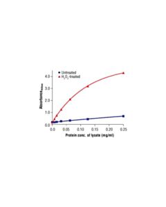 Cell Signaling Pathscan Phospho-Src (Tyr416) Sandwich ELISA Antibody Pair