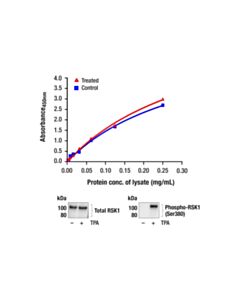 Cell Signaling Pathscan<LT/>Sup&Gt;®<LT/>/Sup&Gt; Total Rsk1 Sandwich ELISA Kit