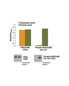 Cell Signaling Pathscan Phospho-Her2/Erbb2 (Pantyr) Sandwich ELISA Kit
