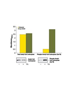 Cell Signaling Pathscan Total Acetyl-Coa Carboxylase Sandwich ELISA Kit