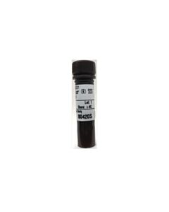 Cell Signaling Streptavidin (Alexa Fluor ® 555 Conjugate)