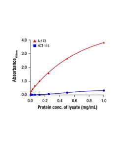 Cell Signaling TFE3 Matched Antibody Pair