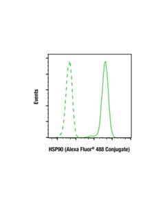 Cell Signaling HSP90 (C45G5) Rabbit mAb (Alexa Fluor ® 488 Conjugate)