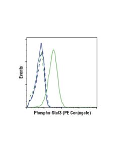 Cell Signaling Phospho-Stat3 (Tyr705) (D3A7) Rabbit Monoclonal Antibody (PE Conjugate)