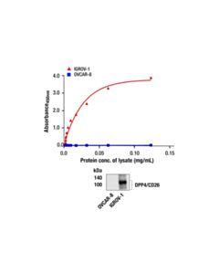 Cell Signaling PathScan ® DPP4/CD26 Sandwich ELISA Kit