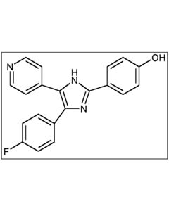 Cell Signaling Sb202190