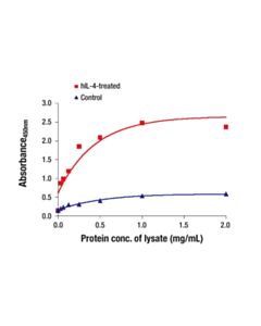 Cell Signaling Phospho-cdc2 (Tyr15) Matched Antibody Pair