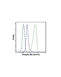 Cell Signaling Phosphoplus Akt (Ser473) Antibody Duet