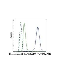 Cell Signaling Phosphoplus P44/42 Mapk (Erk1/2) (Thr202/Tyr204) Antibody Duet