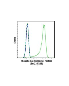 Cell Signaling Phosphoplus S6 Ribosomal Protein (Ser235/Ser236) Antibody Duet