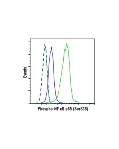 Cell Signaling Phosphoplus Nf-Kappab P65/Rela (Ser536) Antibody Duet