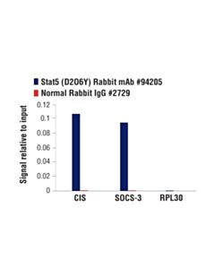Cell Signaling Phosphoplus Stat5 (Tyr694) Antibody Duet