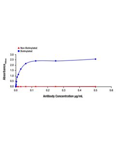 Cell Signaling Phospho-LRRK2 (Ser1292) (E8M3A) Rabbit mAb (Biotinylated)