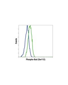 Cell Signaling Phosphoplus Bad (Ser112) Antibody Duet