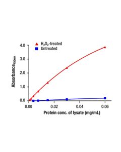 Cell Signaling Phospho-Slp-76 (Ser376) Matched Antibody Pair