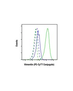 Cell Signaling Vimentin (D21H3) XP ® Rabbit mAb (PE-Cy7 ® Conjugate)