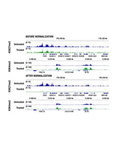 Cell Signaling CUT&RUN Assay Kit (with Drosophila Spike-In Control)