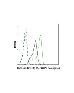Cell Signaling Phospho-Gsk-3beta (Ser9) (D85e12) Xp Rabbit mAb (PE Conjugate)