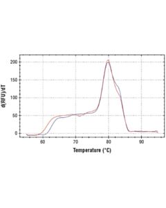 Cell Signaling Simplechip Human Cyp2b7 Pseudogene Promoter Primers