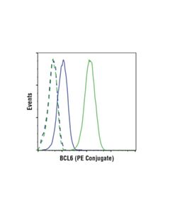 Cell Signaling Bcl6 (D4i2v) Xp  Rabbit mAb (PE Conjugate)