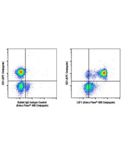 Cell Signaling Lef1 (C12a5) Rabbit mAb (Alexa Fluor 488 Conjugate)