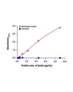 Cell Signaling Phospho-NPM1 (Thr199) Matched Antibody Pair