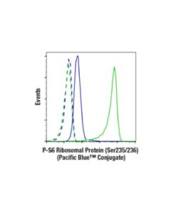 Cell Signaling Phospho-S6 Ribosomal Protein (Ser235/236) (D57.2.2e) Xp Rabbit mAb (Pacific Blue Conjugate)