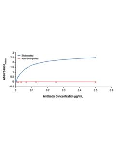 Cell Signaling 4E-BP1 (53H11) Rabbit Monoclonal Antibody (Biotinylated)