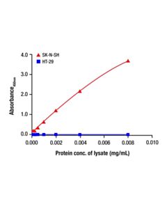 Cell Signaling COL1A1 Matched Antibody Pair