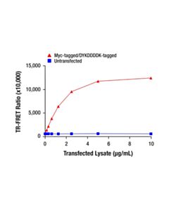 Cell Signaling Goat Anti-Rabbit IgG (H+L) Antibody (trFluor ™ Europium Cryptate Conjugate)