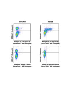 Cell Signaling Rapid-Act T Cell Activation Kit (Mouse, Anti-Cd3/Cd28)