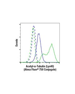 Cell Signaling Acetyl-Alpha-Tubulin (Lys40) (D20g3) Xp Rabbit mAb (Alexa Fluor 750 Conjugate)