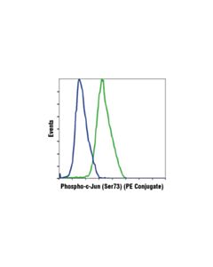 Cell Signaling Phospho-C-Jun (Ser73) (D47g9) Xp Rabbit mAb (PE Conjugate)