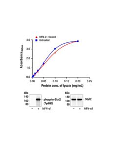 Cell Signaling PathScan ® RP Total Stat2 Sandwich ELISA Kit