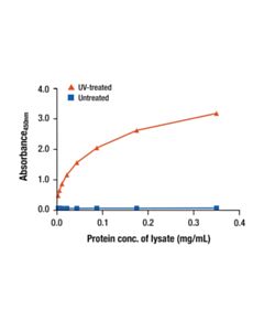 Cell Signaling Phospho-p53 (Ser15) Matched Antibody Pair 1 Kit