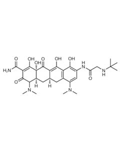 Cell Signaling Tigecycline
