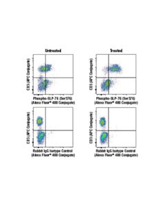 Cell Signaling Rapid-Act T Cell Activation Kit (Human, Anti-Cd3/Cd28)