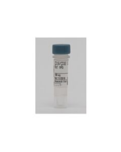 Cell Signaling Cd16/Cd32 (2.4g2) Rat mAb