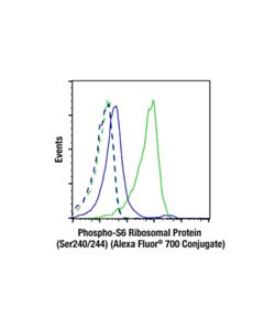 Cell Signaling Phospho-S6 Ribosomal Protein (Ser240/244) (D68f8) Xp ® Rabbit mAb (Alexa Fluor ® 700 Conjugate)